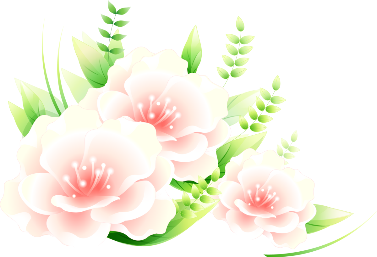 Красивые цветы на прозрачном фоне