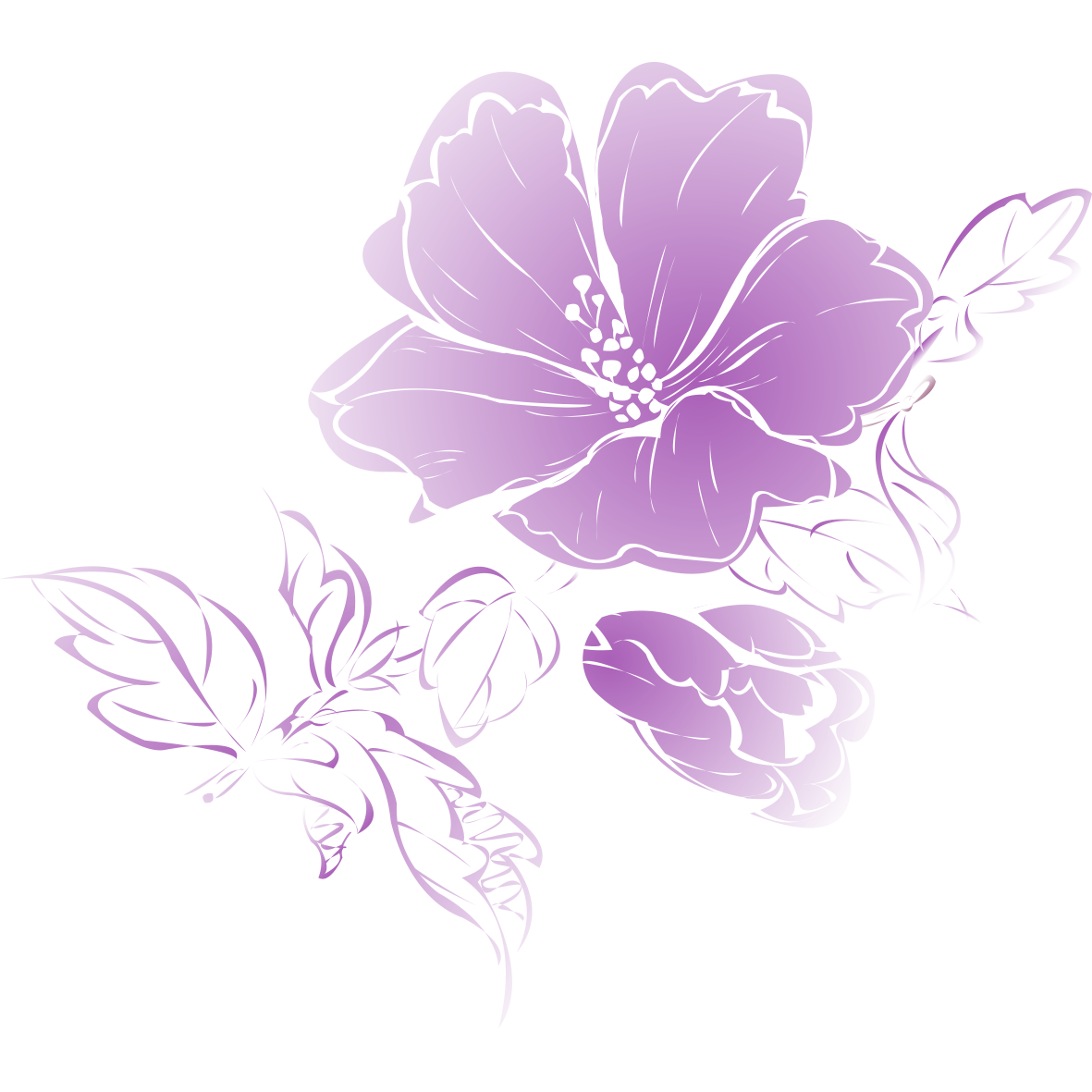 Цветы на прозрачном фоне