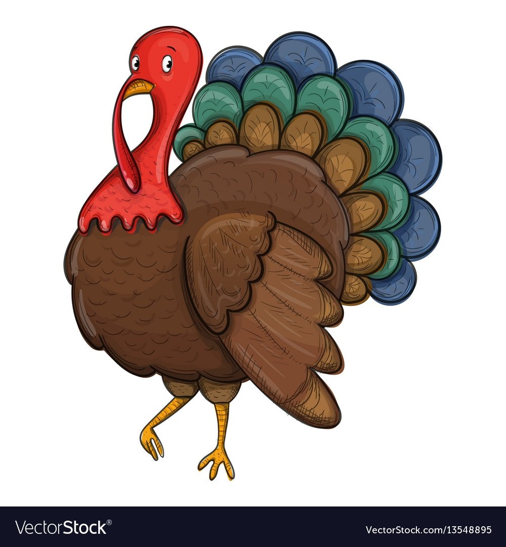 Индюк рисунок