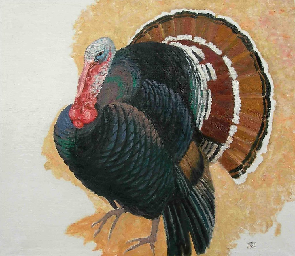 Индюк для детей