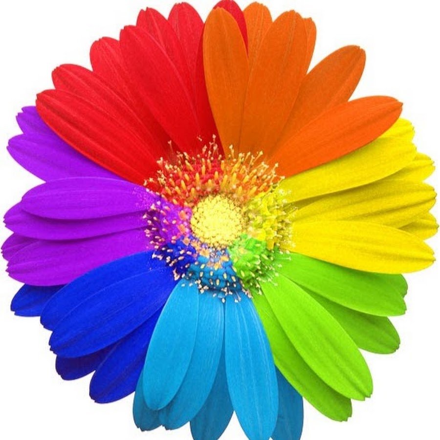 Раздаточный материал цветочки