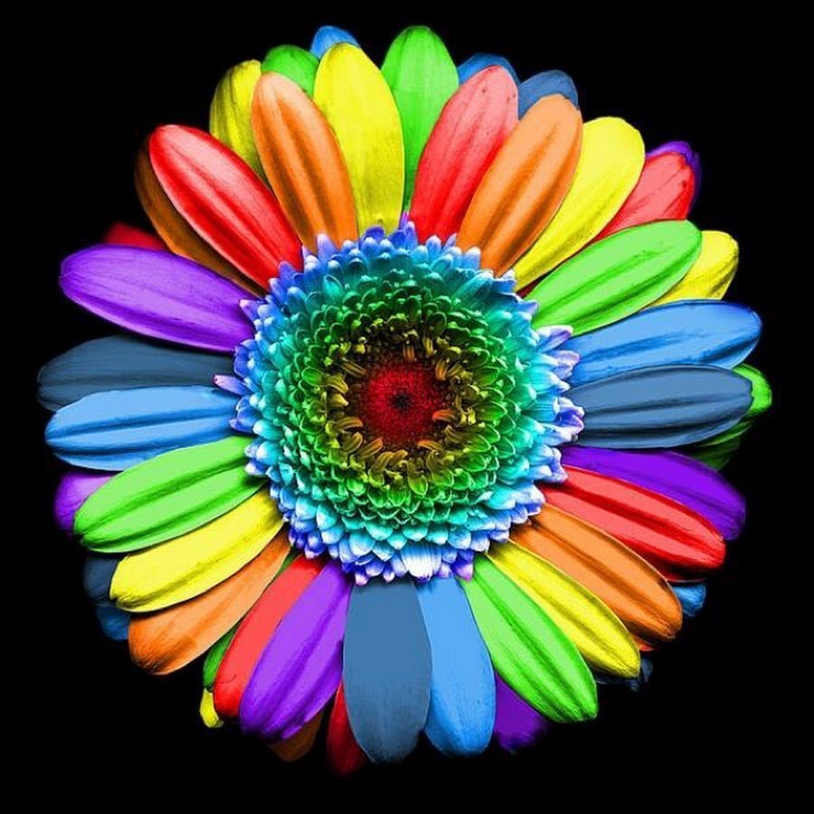 Цветик семицветик раскраска для детей