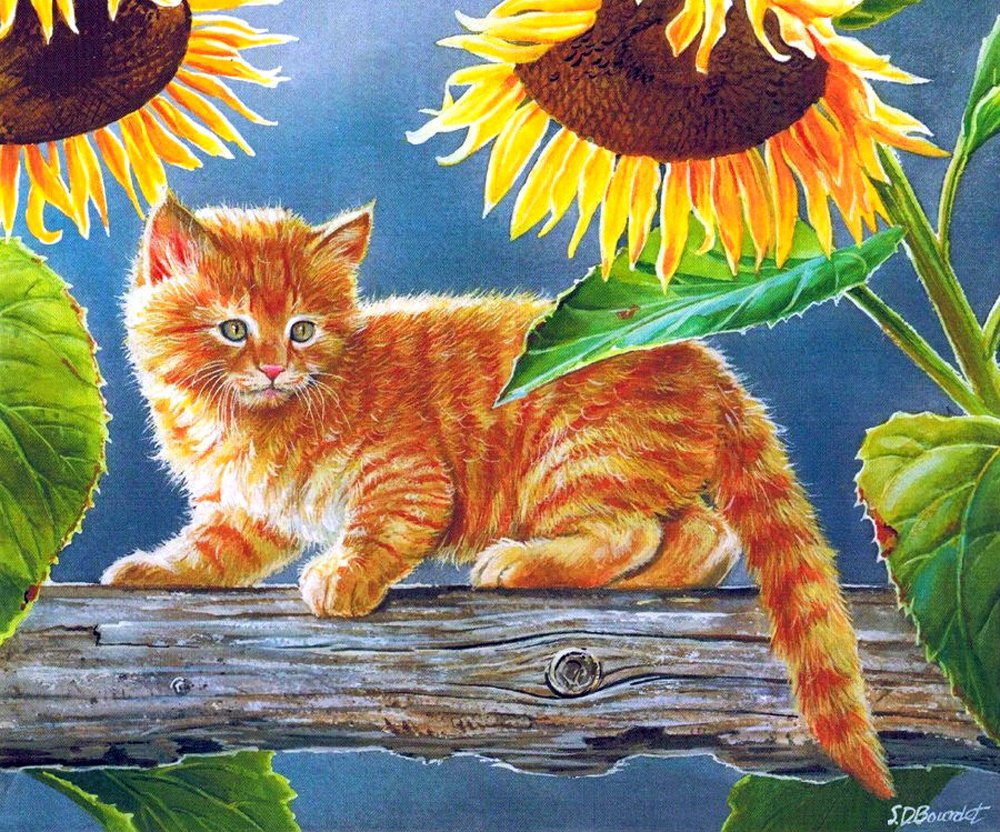 Доброе утро рыжий котенок