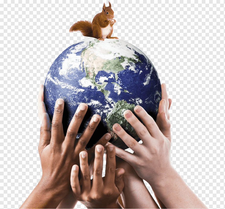 Земля в женских руках