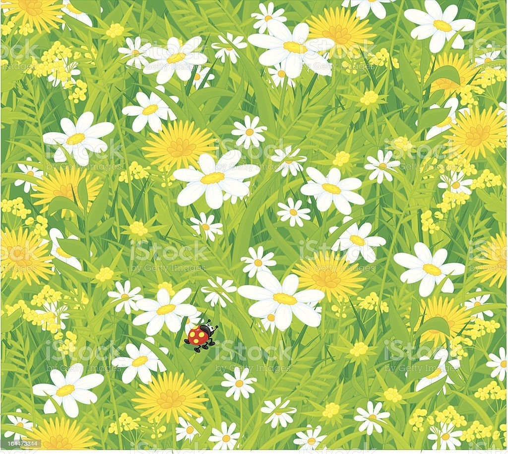 Зоологическое лото "в мире животных"