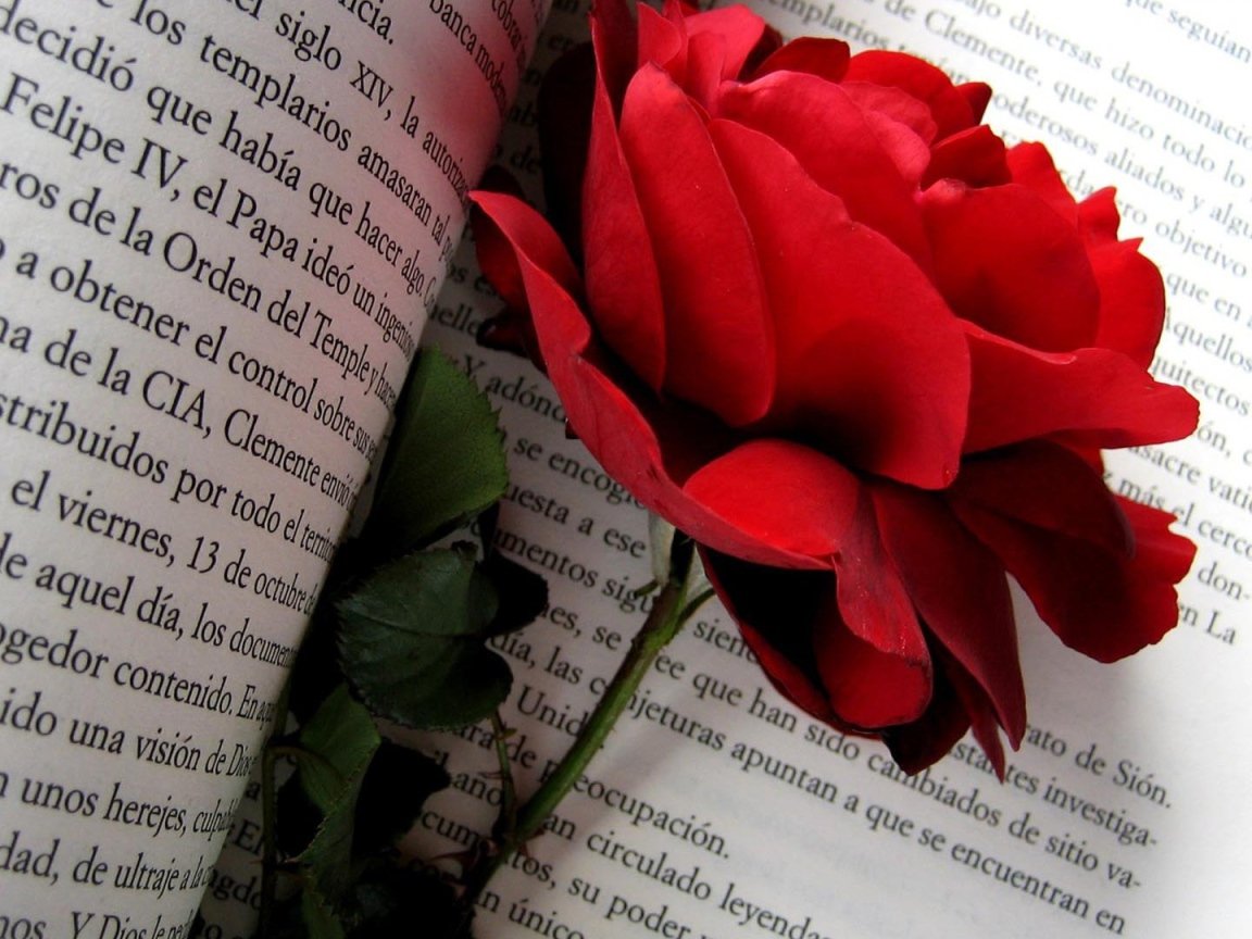 Поздравления с днём рождения