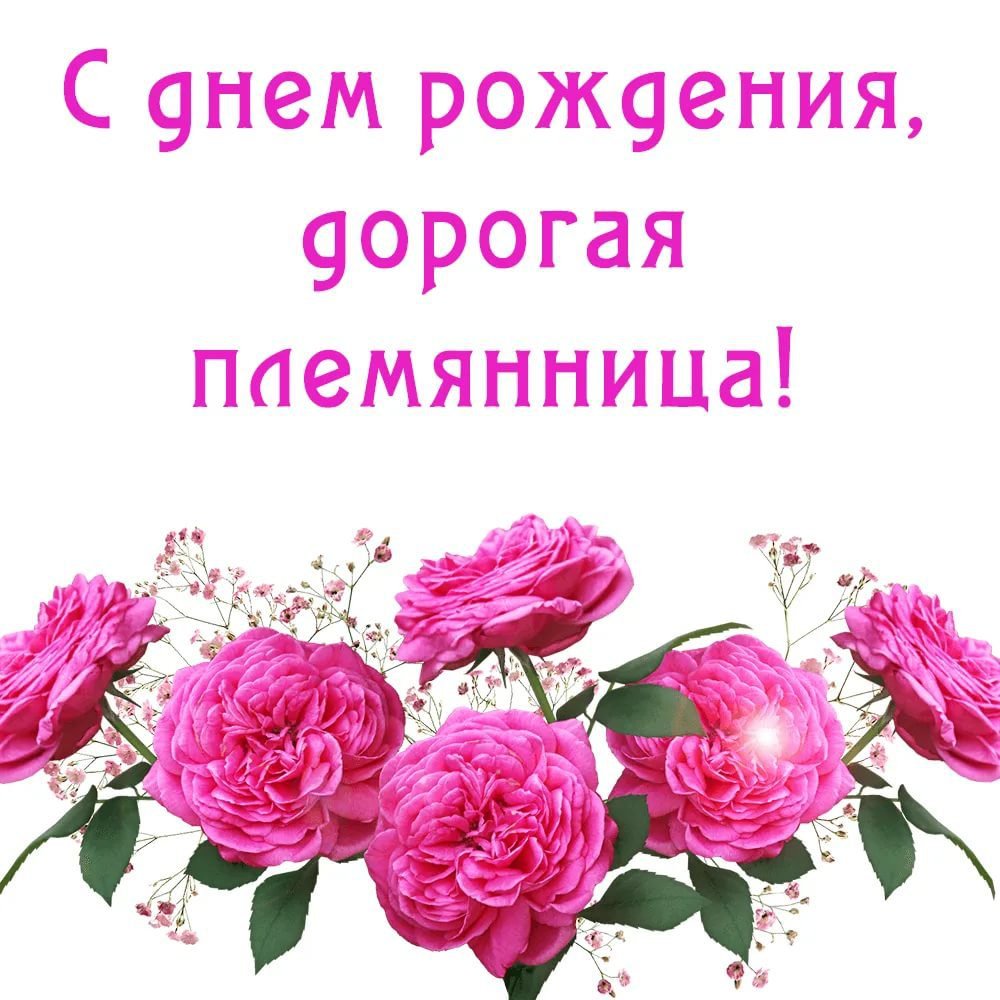 С днём рождения племяшка