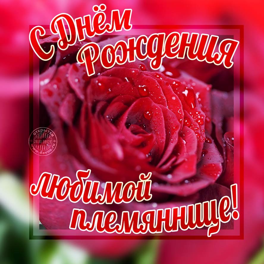 Поздравлениеплемяницу с днём рождения