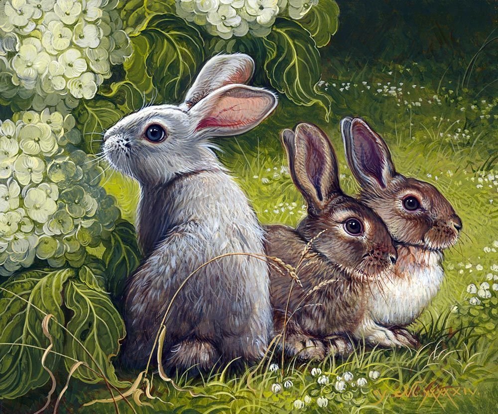 Беатрис Поттер иллюстрации