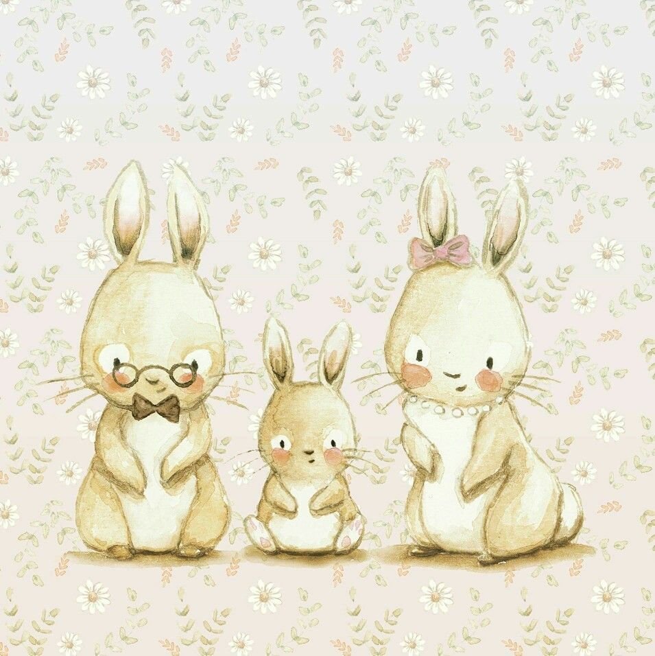 Аида Замора зайки