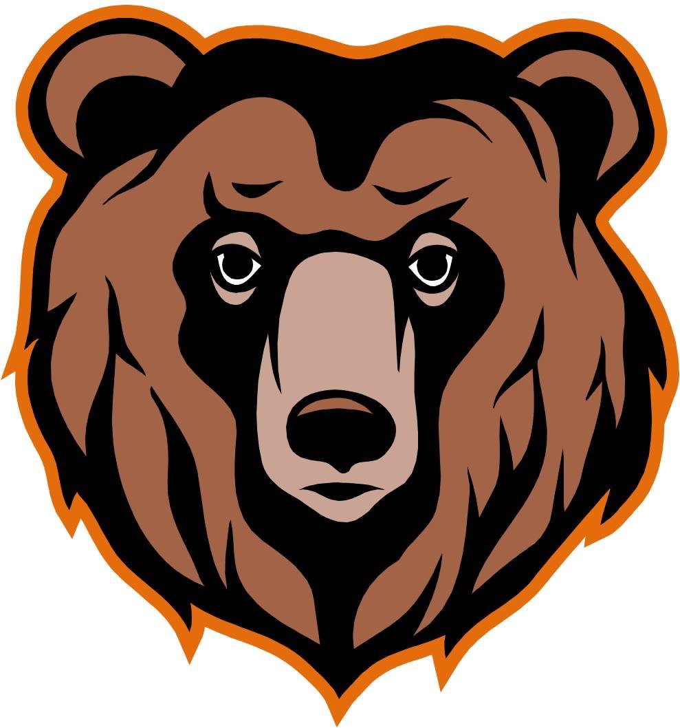 Мордочки медвежонка в разных эмоциях