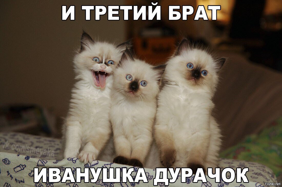 Встала на путь истинный стою идти-то