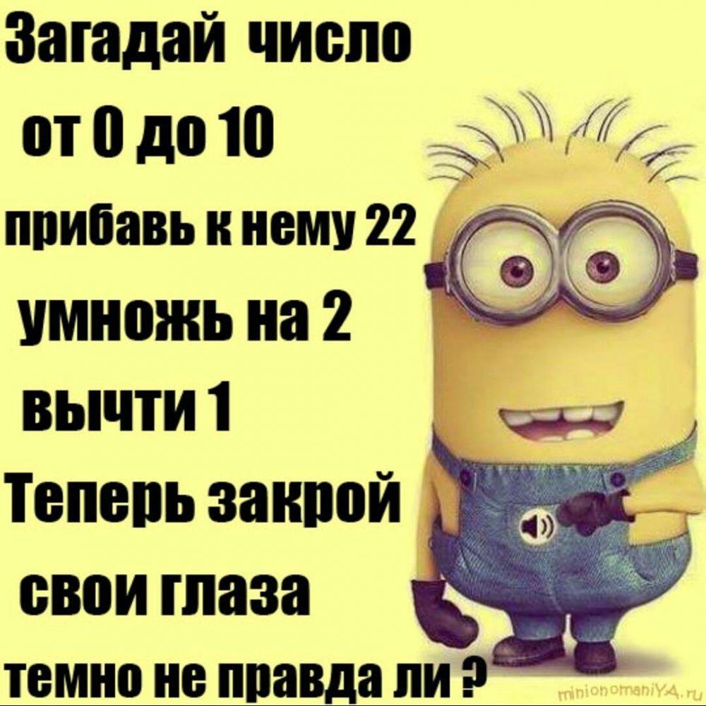 Котята с надписями