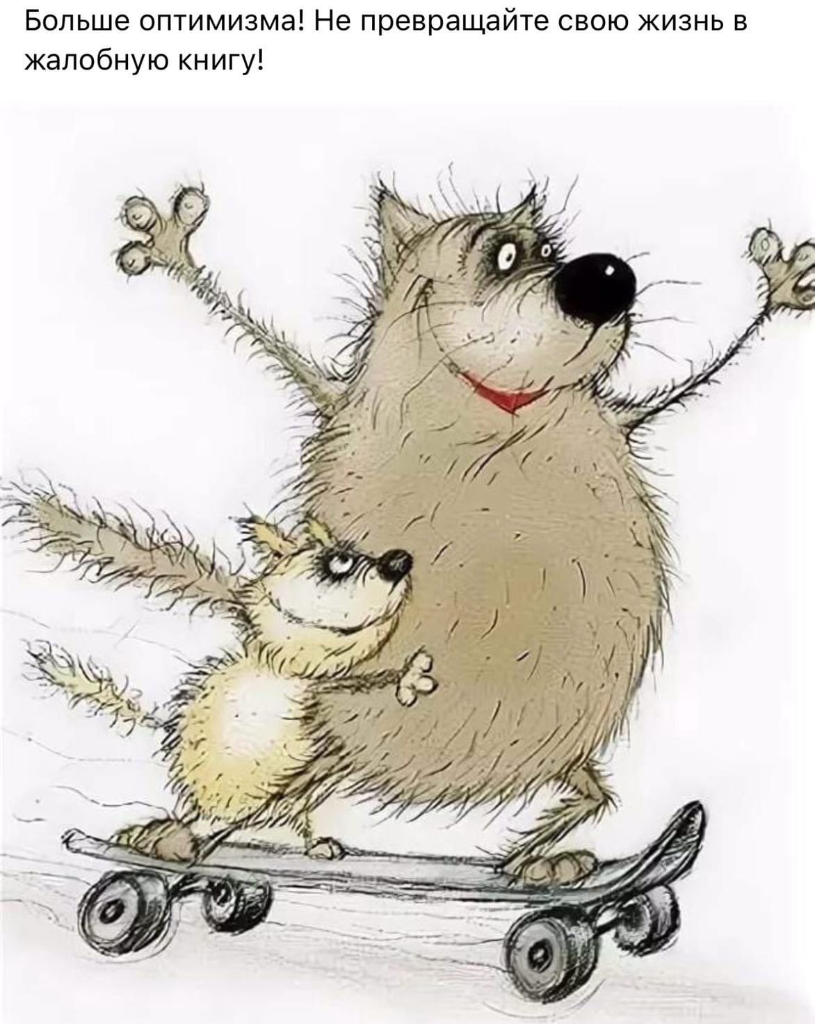 Пожелание удачи в картинках прикольные