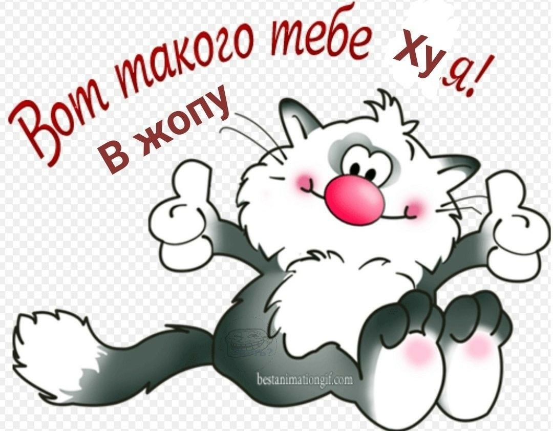 Смешные картинки на каждый день