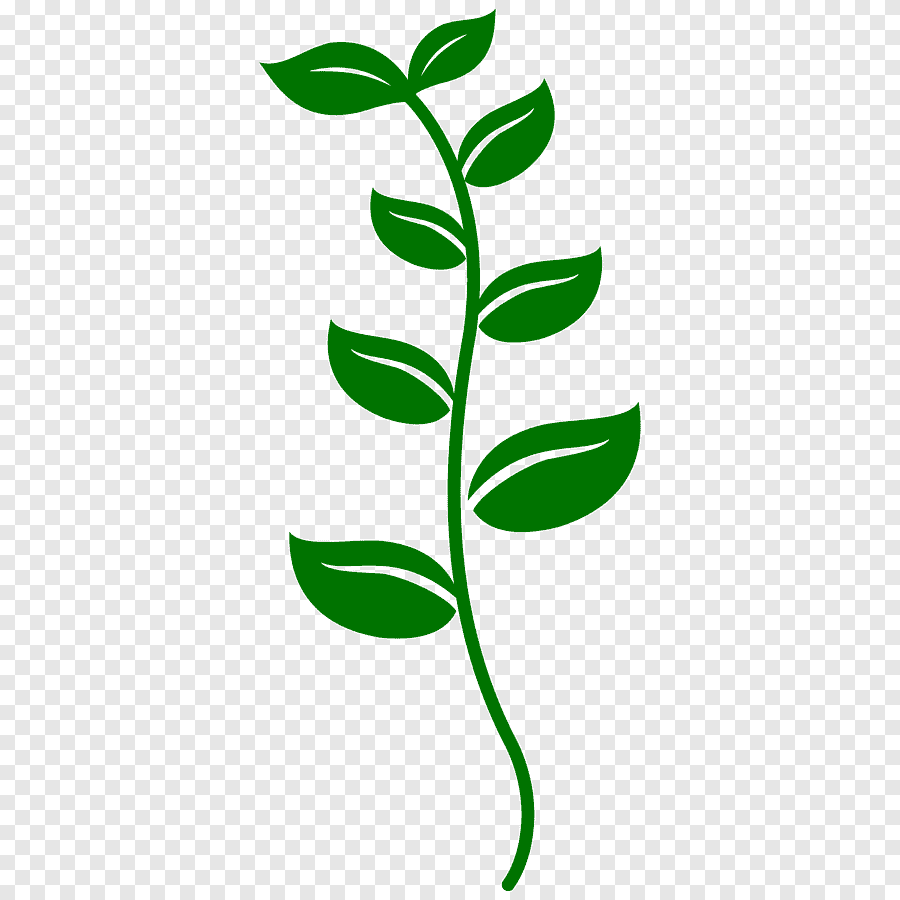 Зеленый стебель вектор