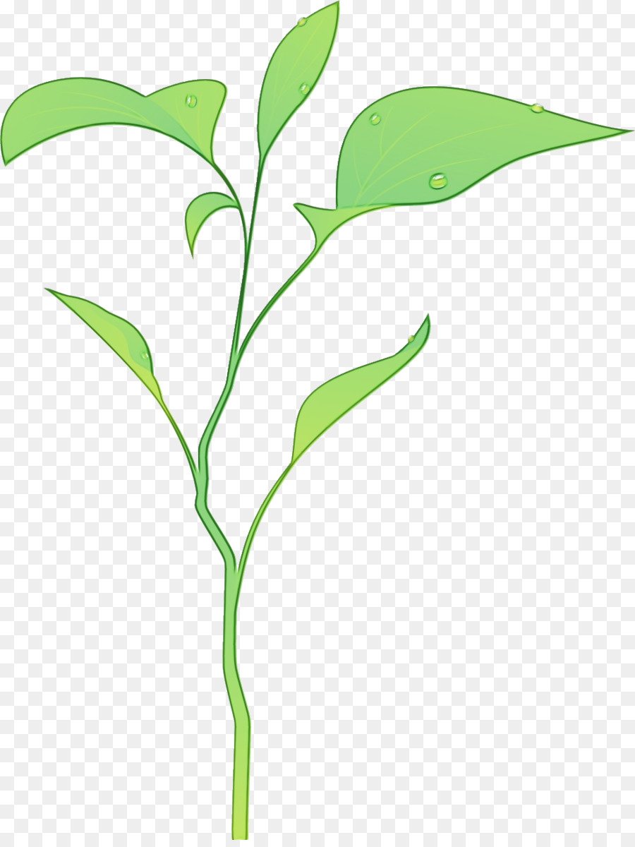 Стебли цветов