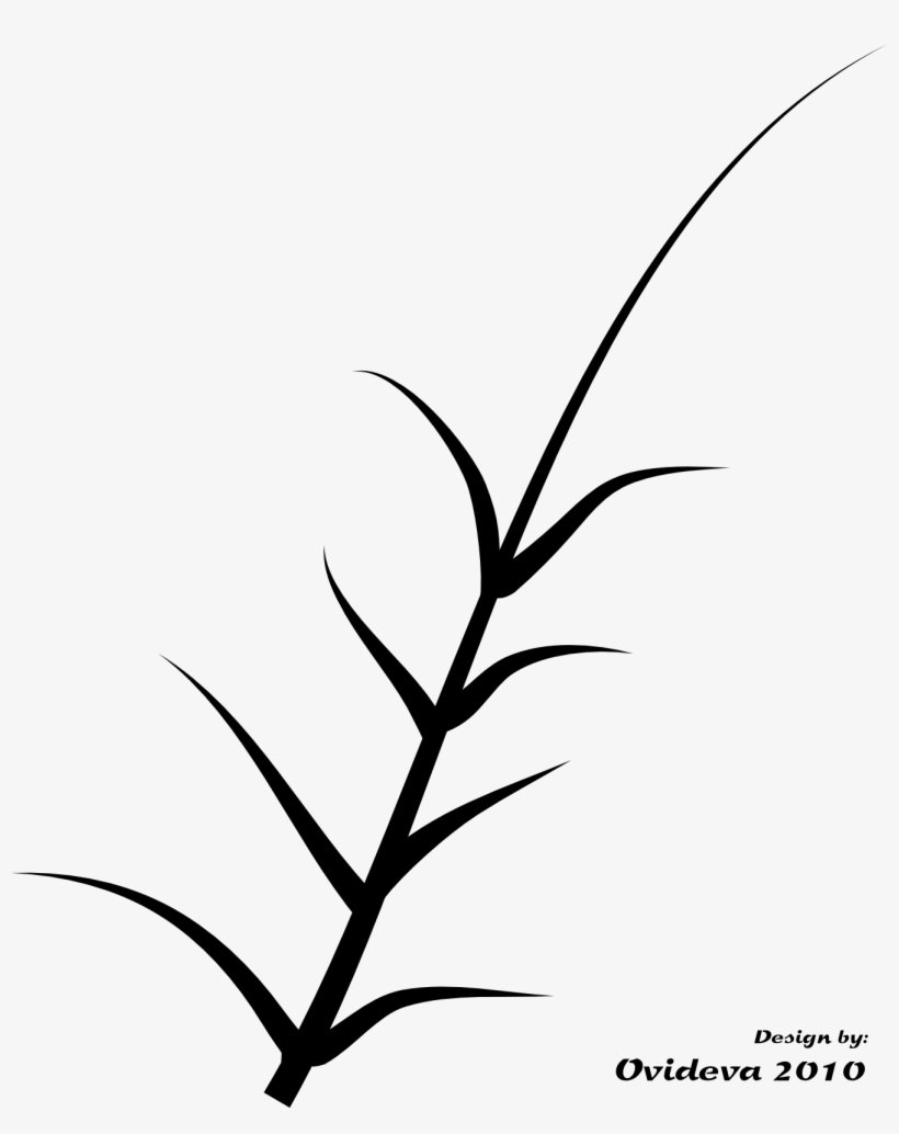 Стебель цветка