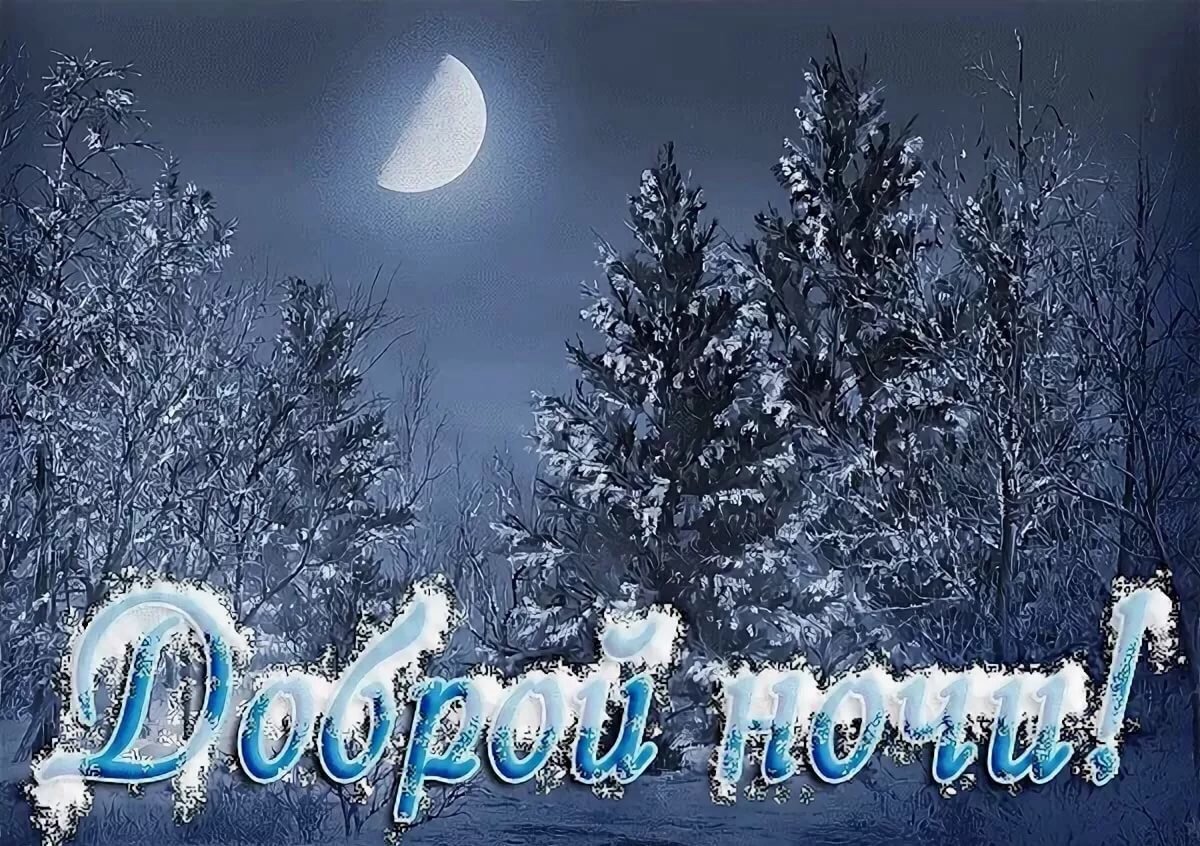 Новогодние натюрморты с цветами