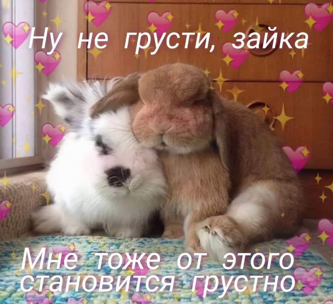 Крош из смешариков плачет