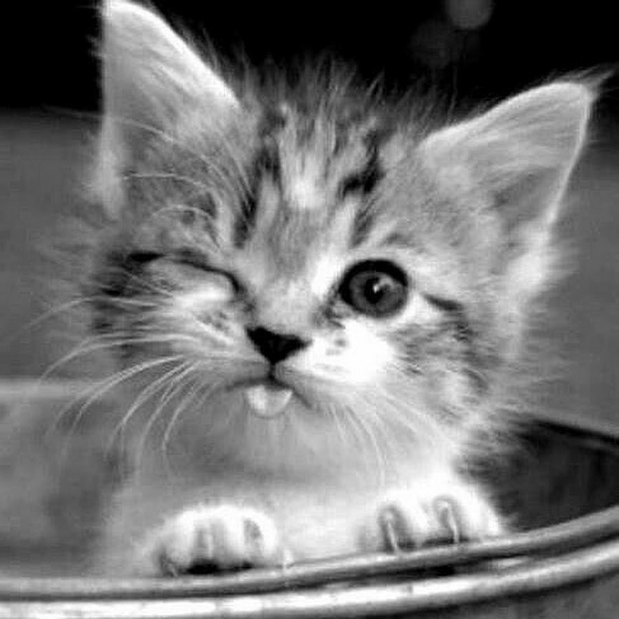 Спокойной ночи любимому