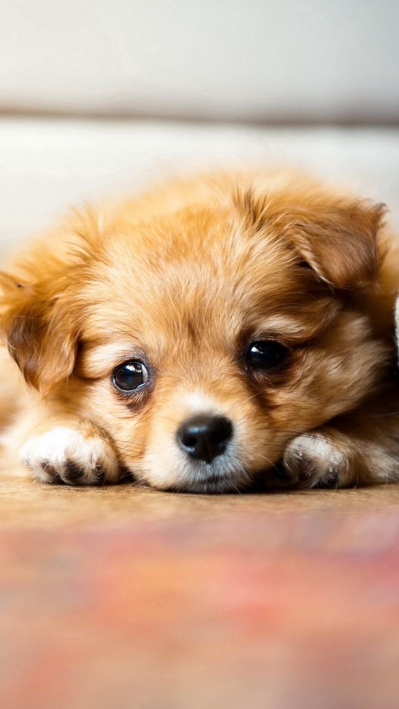 Милые картинки не грусти