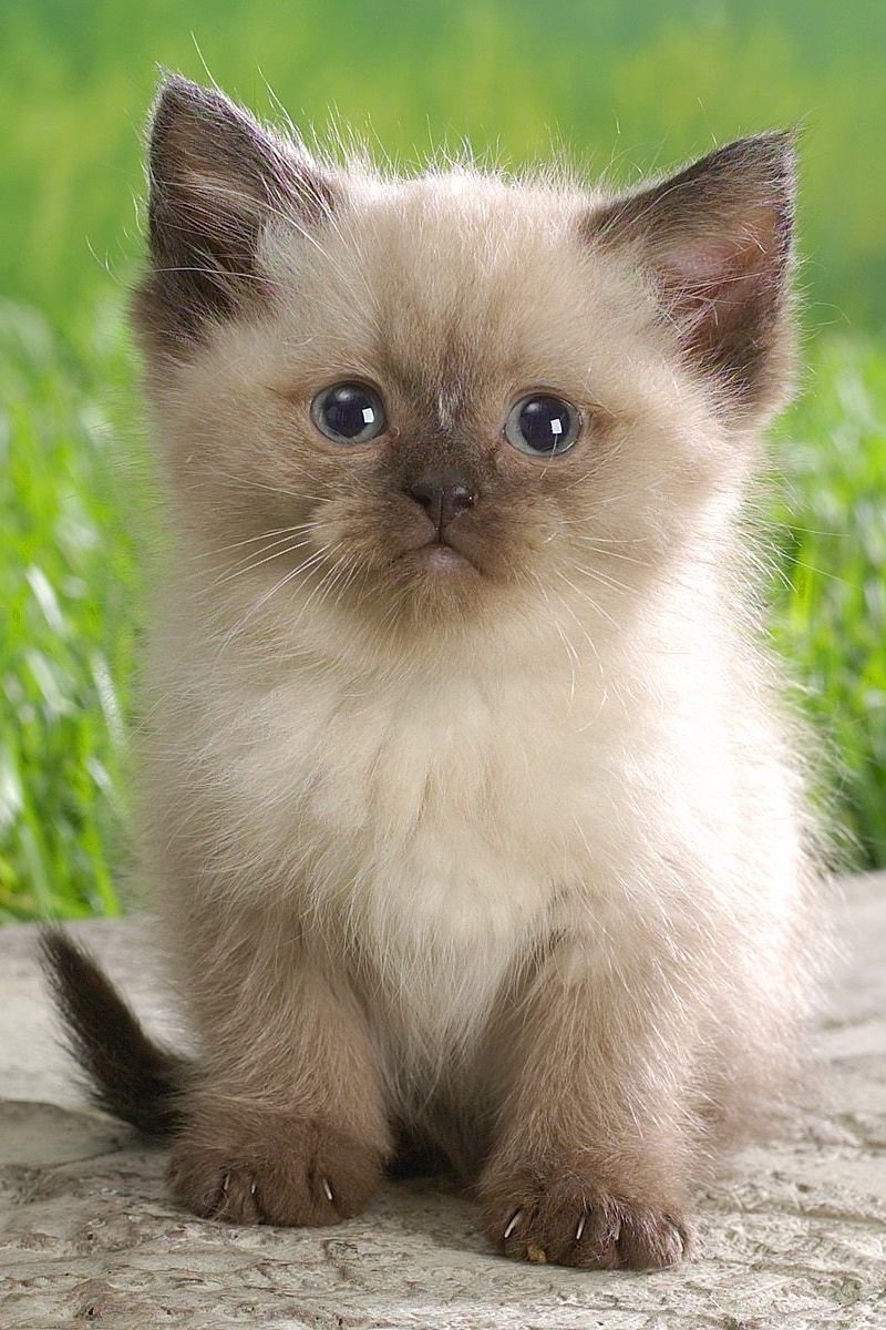 Картинки не грусти улыбнись