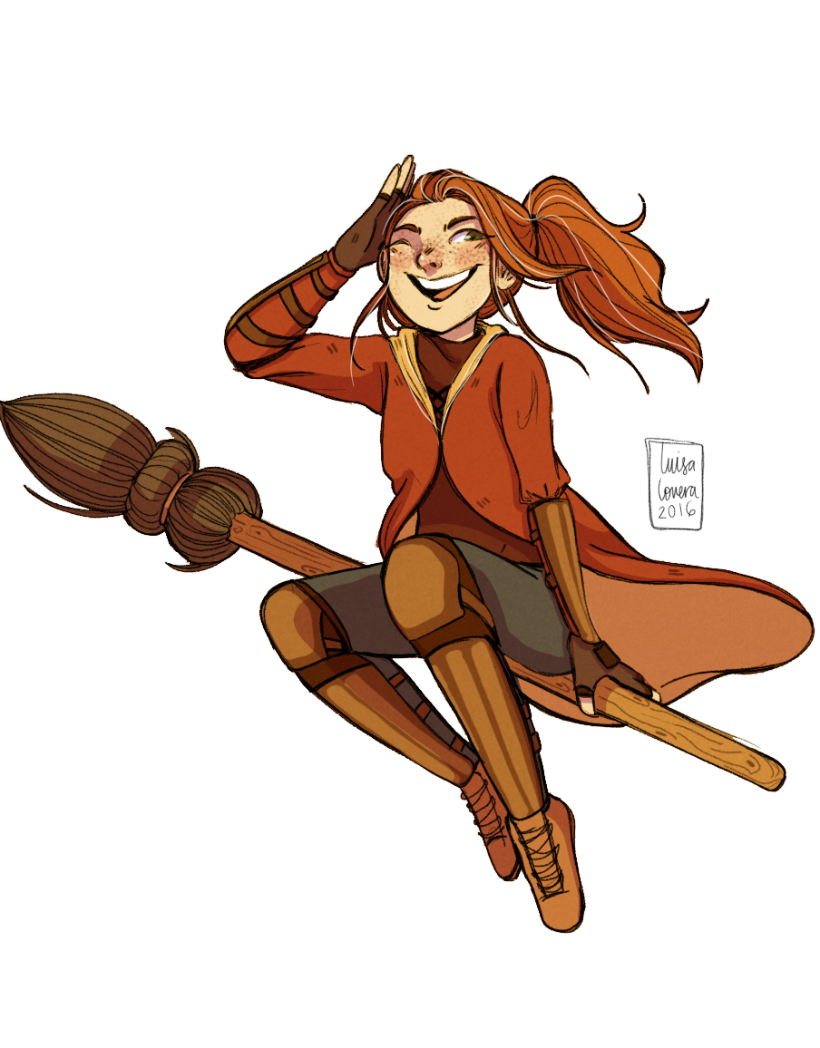 Гарри на метле