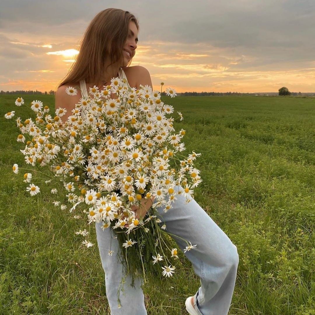 Красивое поле ромашек