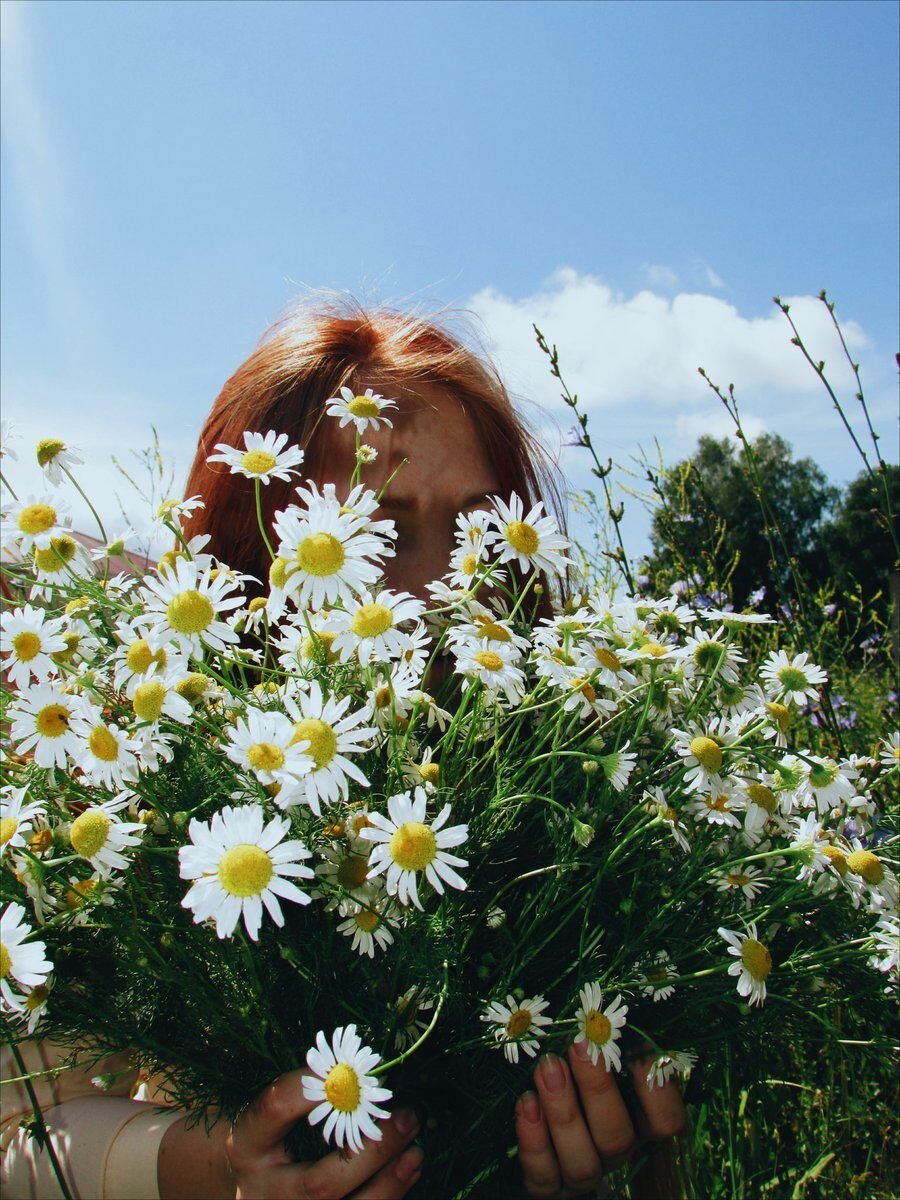 Ромашковые поля Абинский район