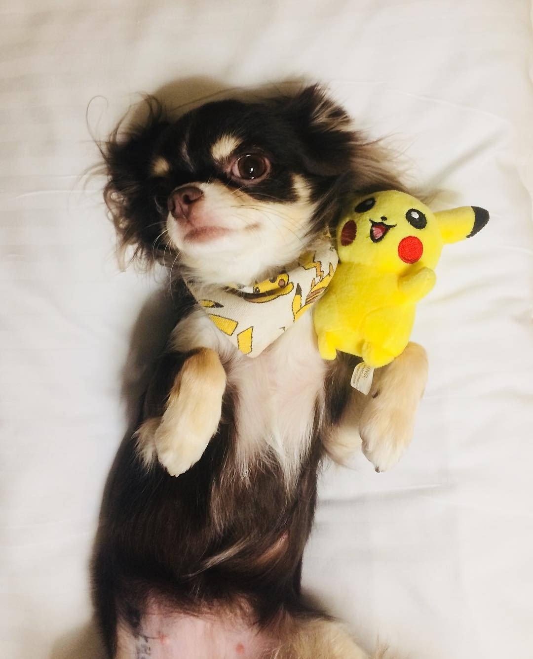 Покемон ЮМИЧУ