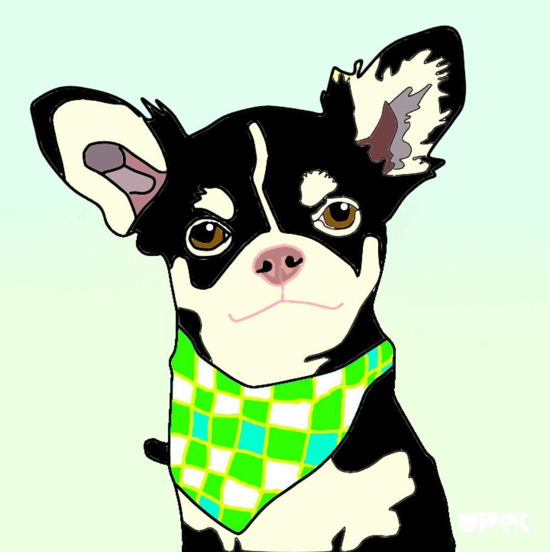 Мэджик петс Юми Чу