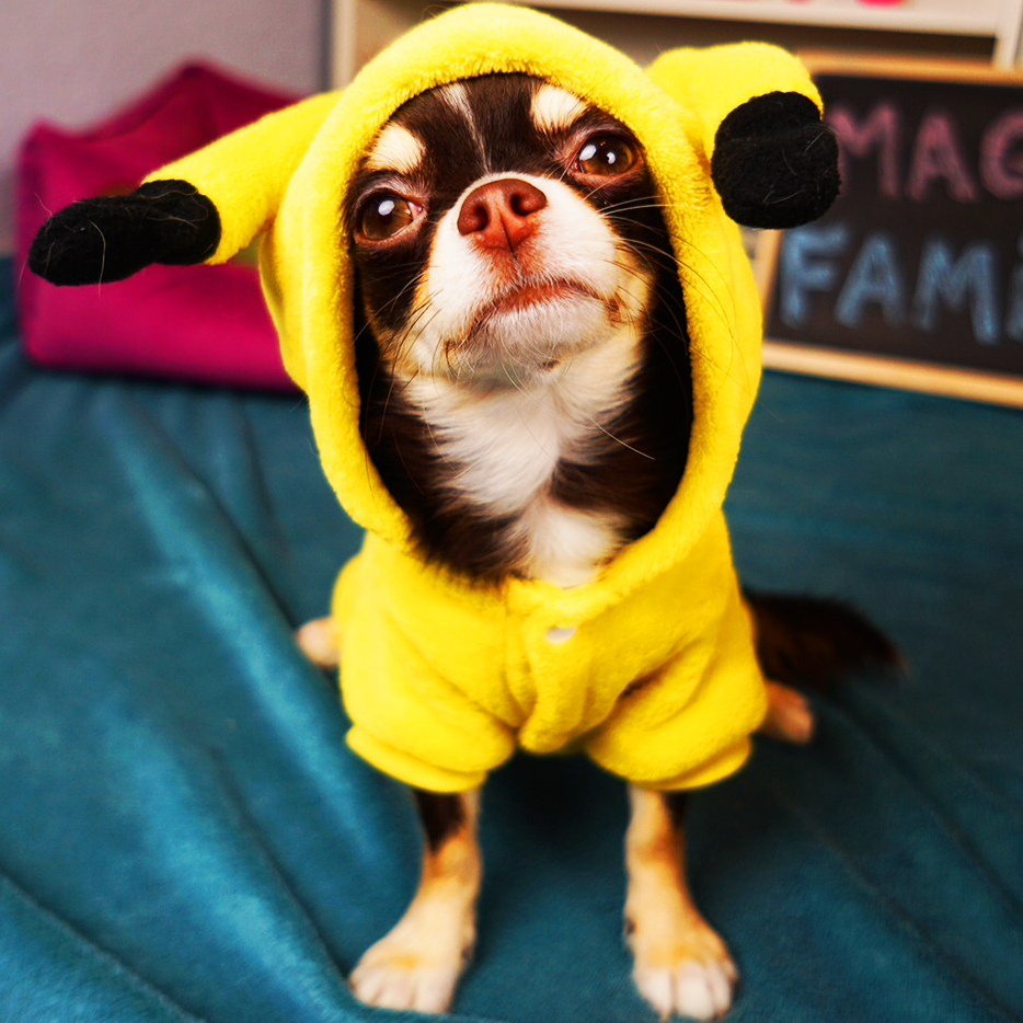 Мэджик петс Юми