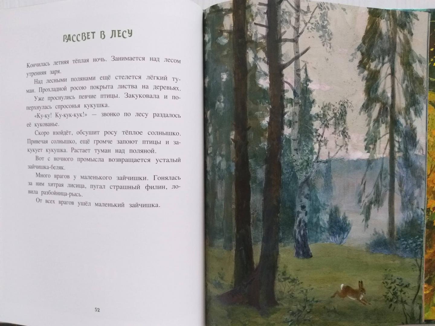 Маленький рассказ в лесу