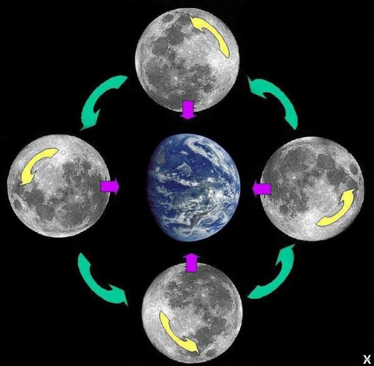 Почему луна обращена