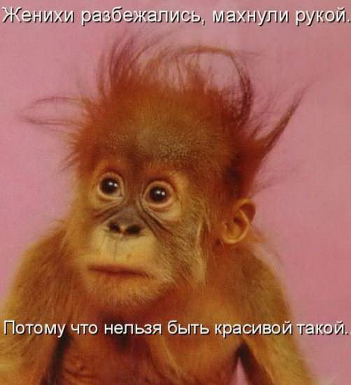 Идеальный мужчина