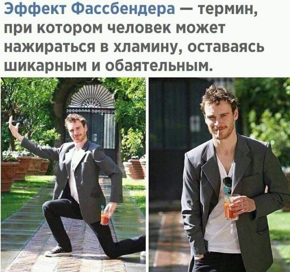 Лев и львица демотиватор