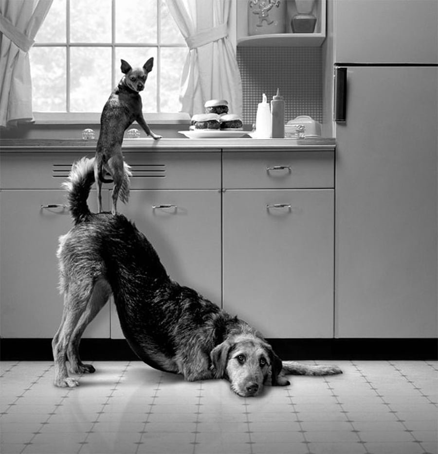 Заставки для парня смешные