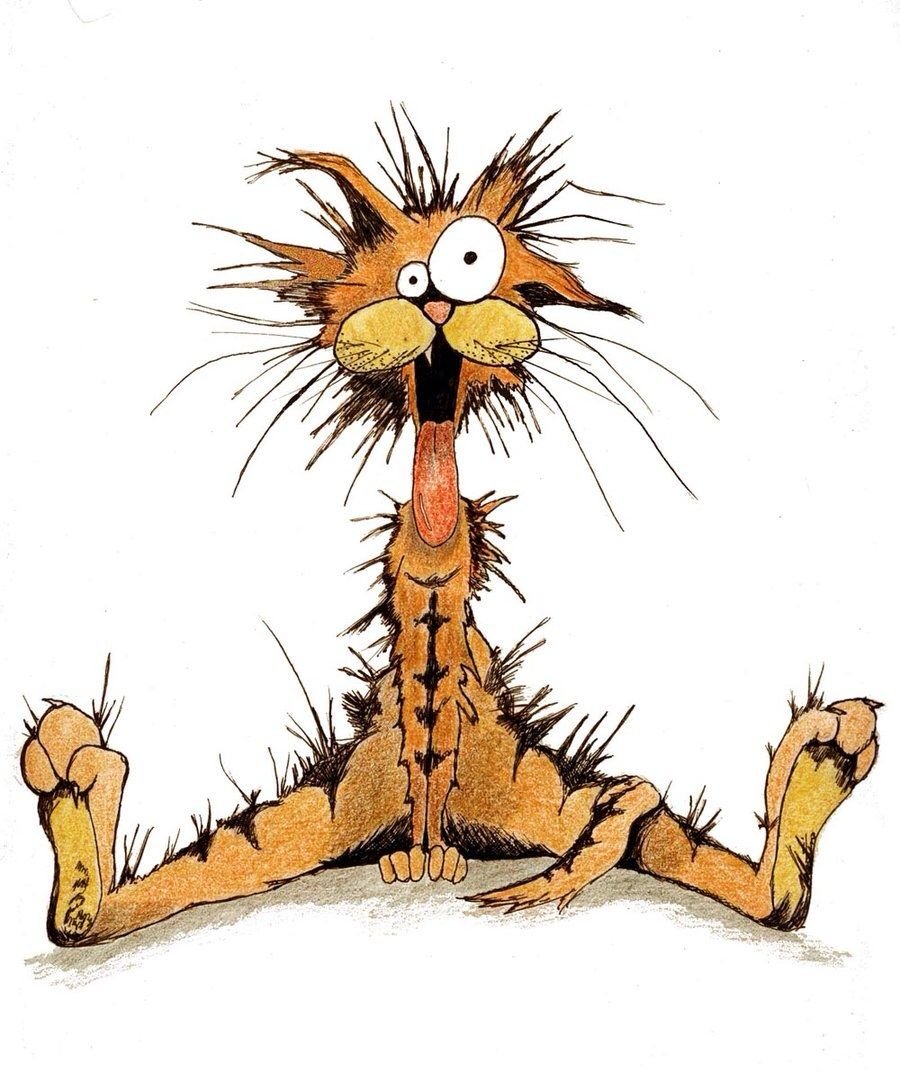 Демотиваторы про мужчин