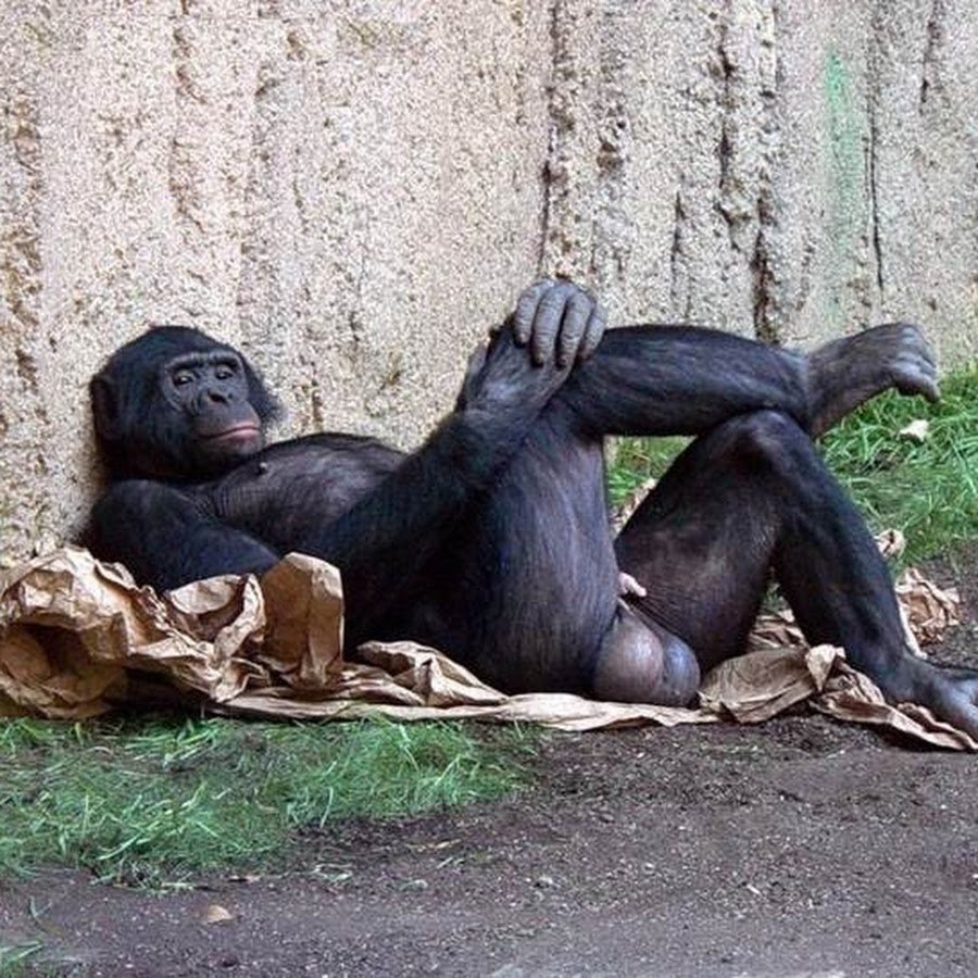 Женщина Доминант