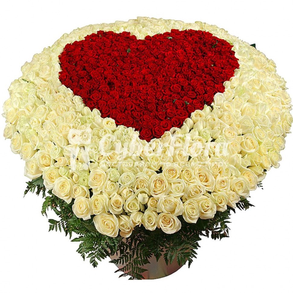 Красивые три розы