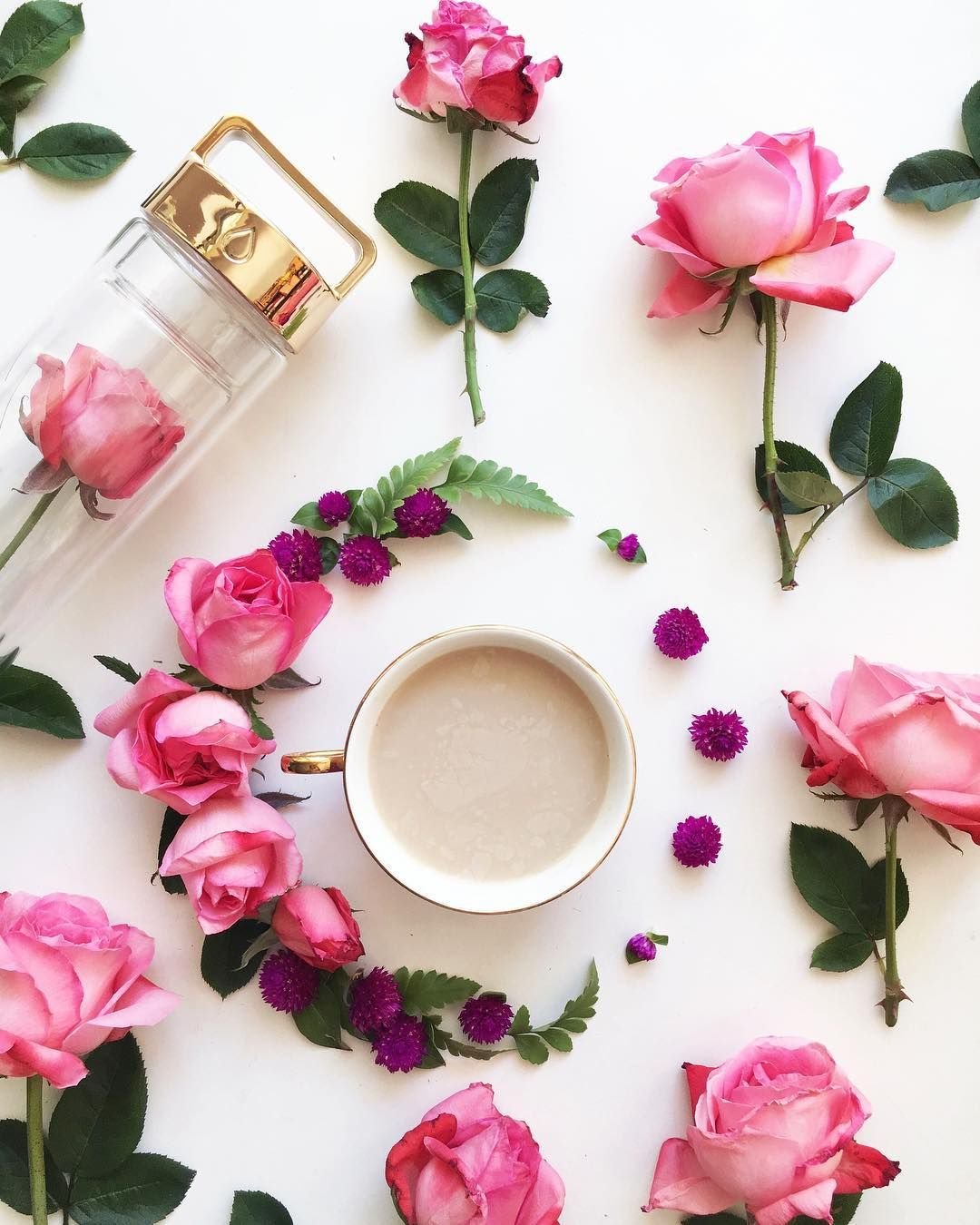 Белые цветы Эстетика