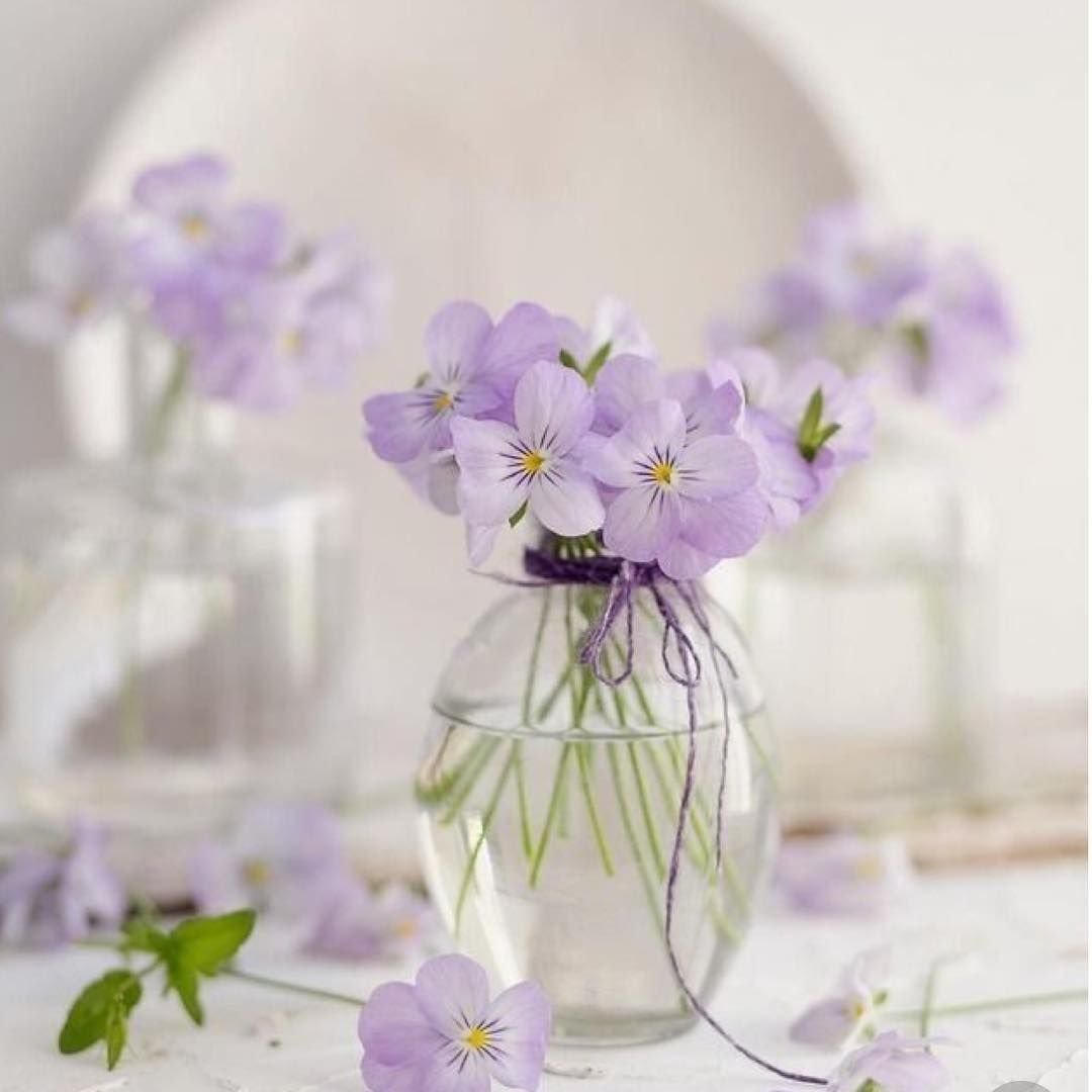 Нежные цветочки