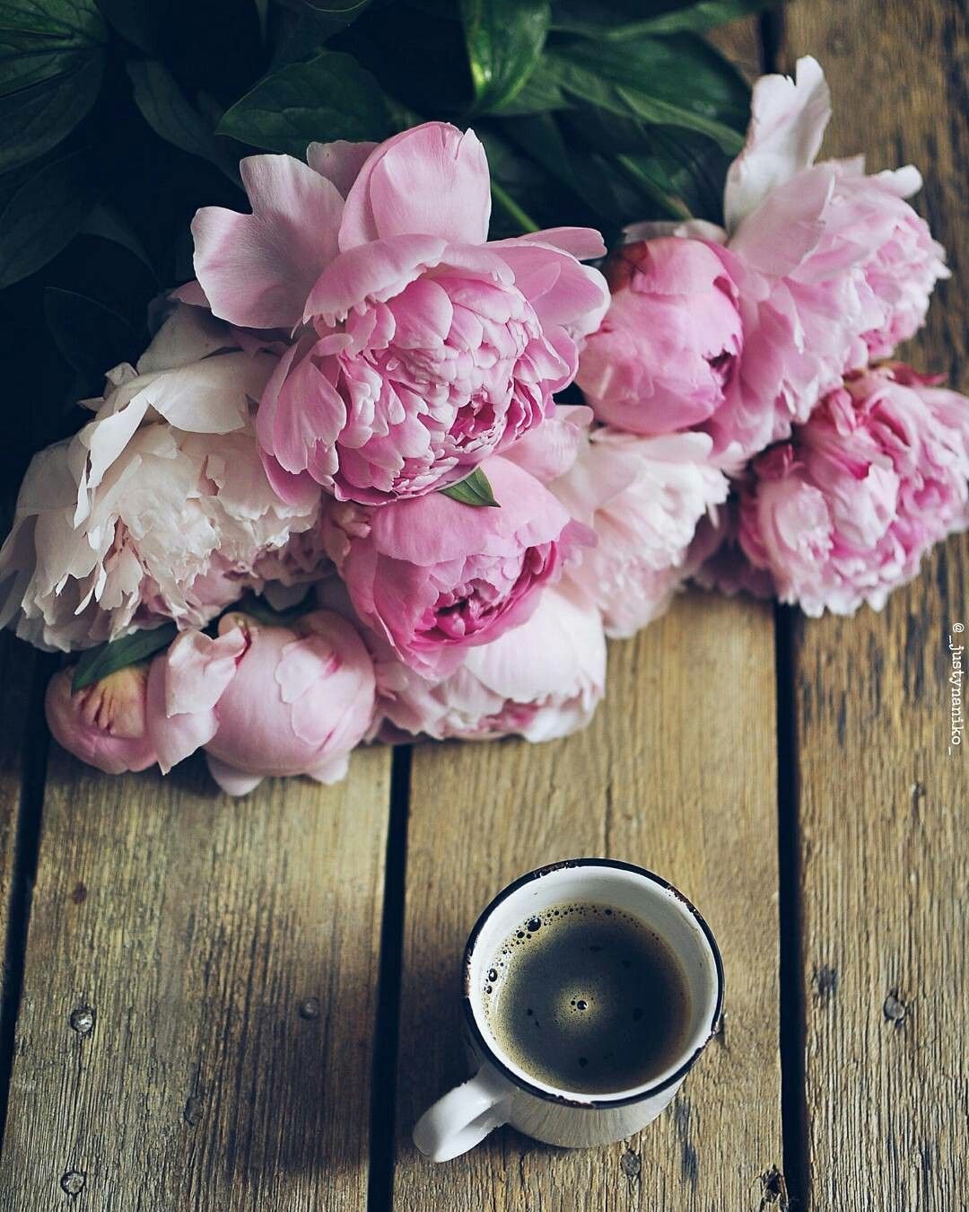 Пионы Пинтерест