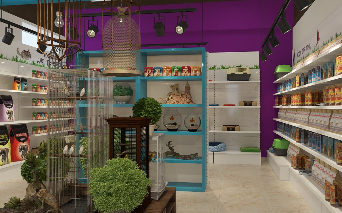 Зоомагазин интерьер