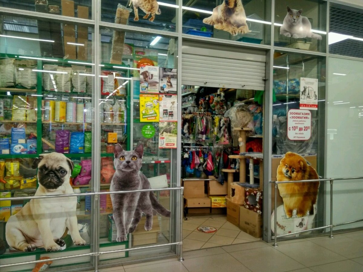 Зоомагазин интерьер