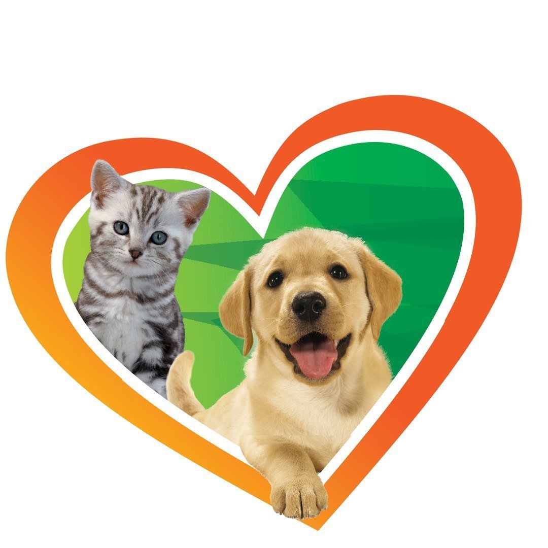 Зоотовары для животных