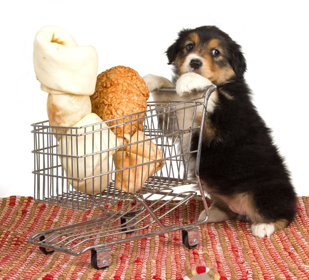 Зоомагазин ассортимент