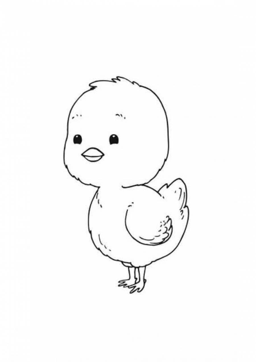 Цыпленок раскраска для детей