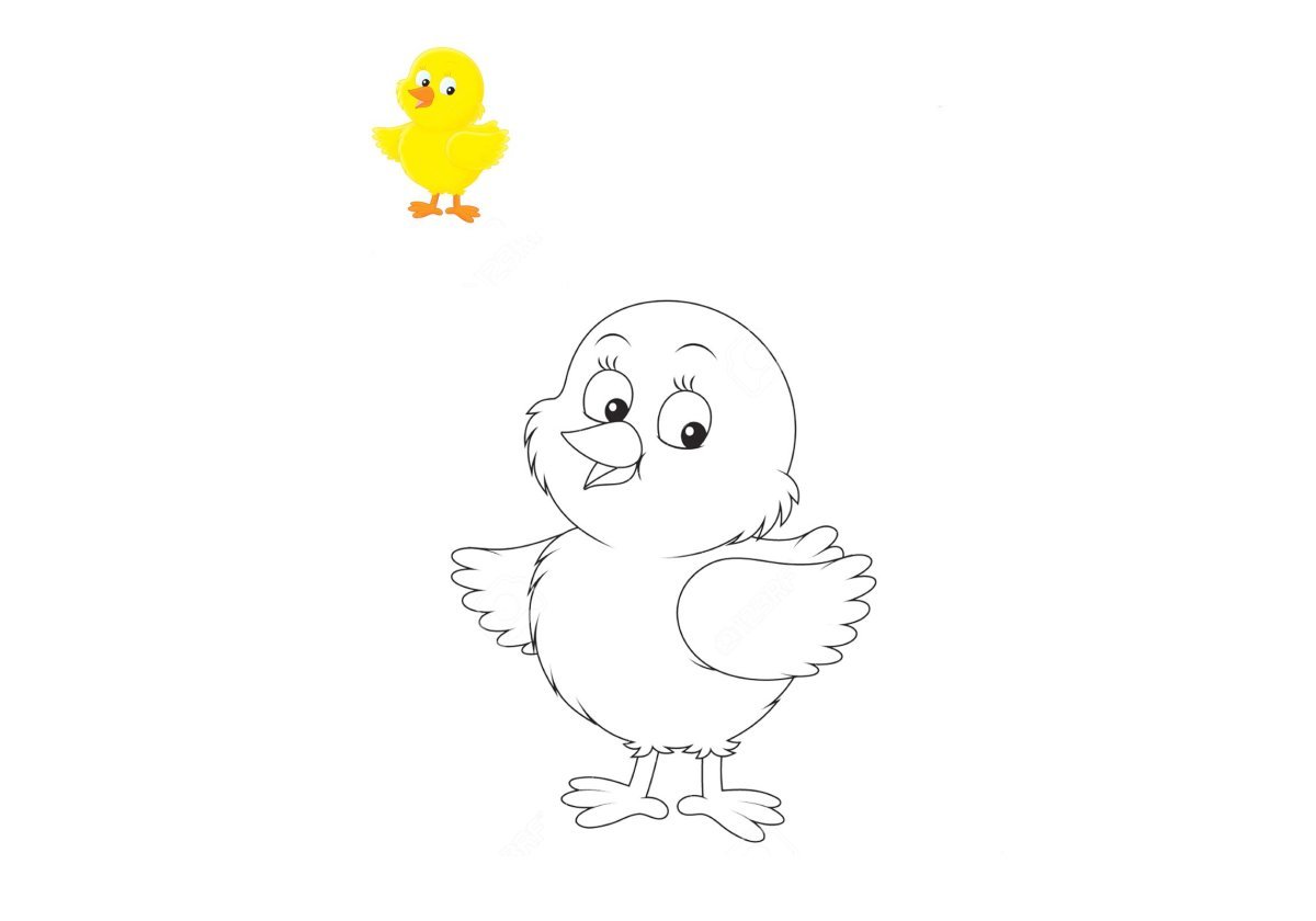 Утёнок раскраска для детей